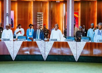 NEC approves $90 billion Agribusiness and Livestock Development Plan for Nigeria, sets 2035 target
