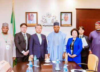 Nigeria, South Korea explore partnership on solar, electric vehicle manufacturing 
