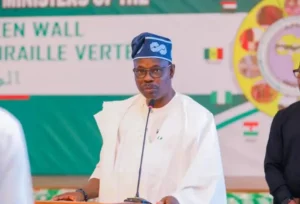 FG targets 44million health insurance enrollees by 2030 to cut out-of-pocket spending 