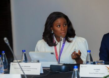 Nigeria attracts $8 billion investment in deepwater, gas projects in a year – Olu Verheijen