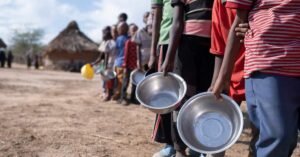 Japan donates $853,000 in food aid to tackle hunger in North-East Nigeria