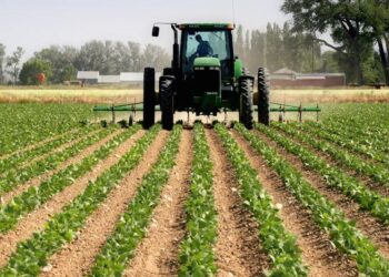 Report: Regulatory uncertainty deterring private capital investment in Nigeria’s Agriculture and Infrastructure sectors 