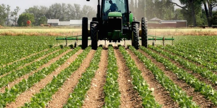 Report: Regulatory uncertainty deterring private capital investment in Nigeria’s Agriculture and Infrastructure sectors 