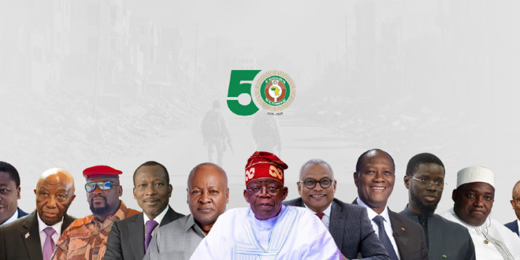 Insecurity: Reconsider cross-border cattle grazing policy in West Africa – Experts tell ECOWAS 