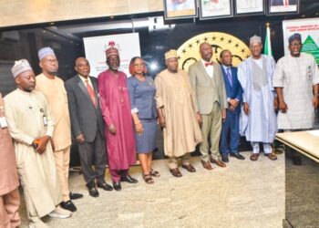 FG inaugurates expanded committee to propose building oversight law and address collapse crisis 