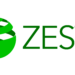 Zest: Revolutionizing Business Payments with Customized Solutions 