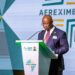 Why Fitch’s ratings on Afreximbank loans to African Nations is a contradiction — George Elombi 