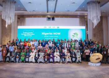 US Soybean trade boosts Nigeria’s protein supply and economic growth