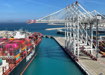 Tanger Med, Port Said only African ports ranked among global top 100 – Report