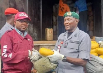 Customs intercepts N1.5 billion worth of contraband in two weeks 