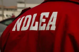 NDLEA seizes 1.7 tonnes of drugs, intercepts ecstasy shipped from Netherlands  