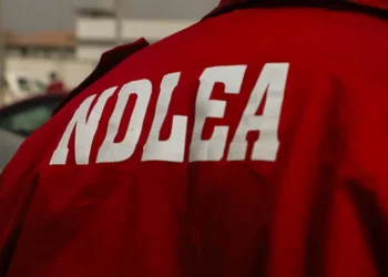 NDLEA: 13.6% of Lagos secondary students have tried drugs, 6.9% are active users