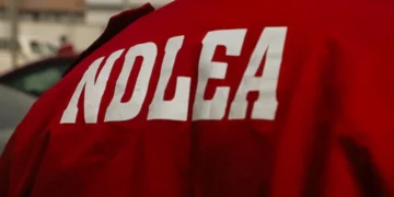 NDLEA: 13.6% of Lagos secondary students have tried drugs, 6.9% are active users  