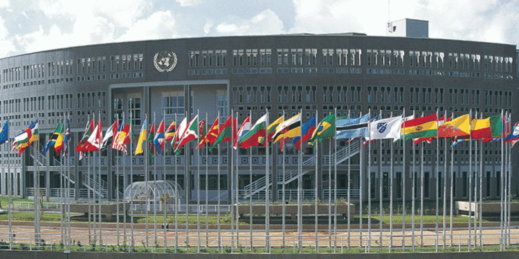 Africa loses $40 billion annually to illicit financial flows in extractive sector — UN ECA 