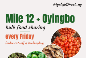How a simple Lagos food service is quietly solving three big urban problems 
