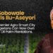 Sola Sobowale unveils Ilu Aseyori, Africa’s Premier Agro Smart City, where Nigerians can now own profitable Oil palm plantations