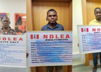 NDLEA arrests drug kingpin, intercepts 722,875 opioid pills, cocaine in Lagos