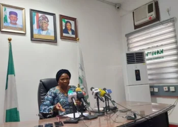 FG: Diaspora, one of Nigeria’s most underutilised assets, remitted over $20 billion in 2024 