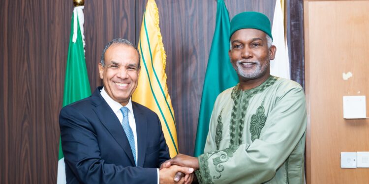 Nigeria, Egypt target $500 billion intra-block trade goal by 2030, push for stronger economic ties 