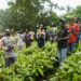 Johnvents Group supports Cocoa Farmers across 11 States with over 250,000 Cocoa Seedlings distribution to boost sustainable Cocoa farming 