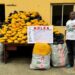 NDLEA arrests Lagos pastor over Ghana cannabis trafficking, seizes 3.4 tonnes of drugs nationwide