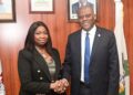 NIDCOM: $600 million monthly diaspora remittances signal success of CBN reforms in Nigeria