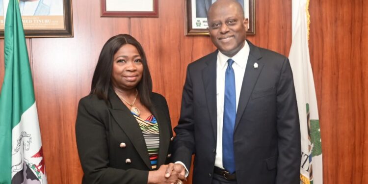 NIDCOM: $600 million monthly diaspora remittances signal success of CBN reforms in Nigeria 