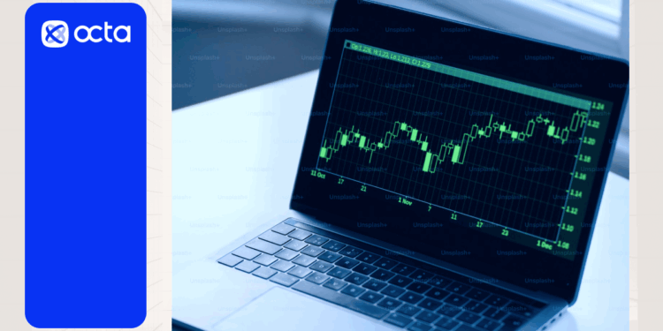 Plant your trading success: leverage and margin explained by Octa Broker