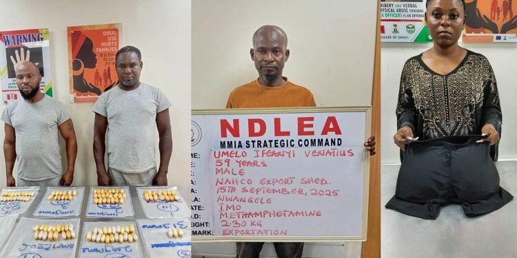 NDLEA Arrested Man