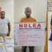 NDLEA Arrested Man