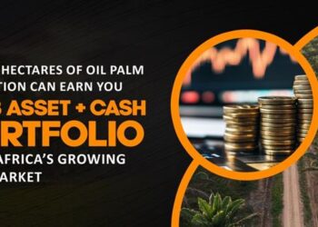 Nigeria’s palm oil industry is undergoing a major revival, driven by rising local production.
