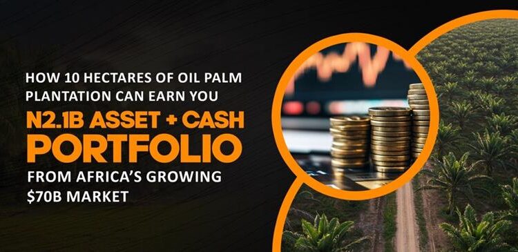 Nigeria’s palm oil industry is undergoing a major revival, driven by rising local production.