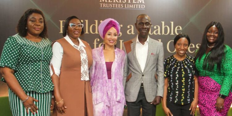 Meristem Trustees Limited launches their special needs trust to secure the future of vulnerable dependents