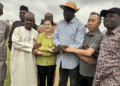Chinese investors eye $720million agriculture, renewable energy projects in Katsina State