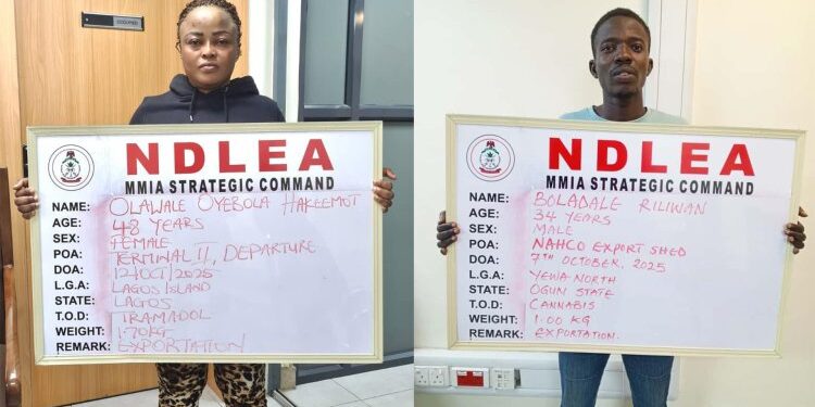 NDLEA intercepts drugs hidden in frozen snails, bulbs at Lagos airport