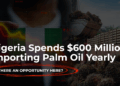 Nigeria spends $600 million importing palm oil yearly; Is there an opportunity here?