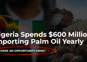 Nigeria spends $600 million importing palm oil yearly; is there an opportunity here?