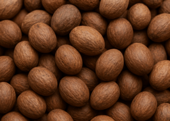 Shea nuts export ban splits industry as female pickers lose, processors gain 