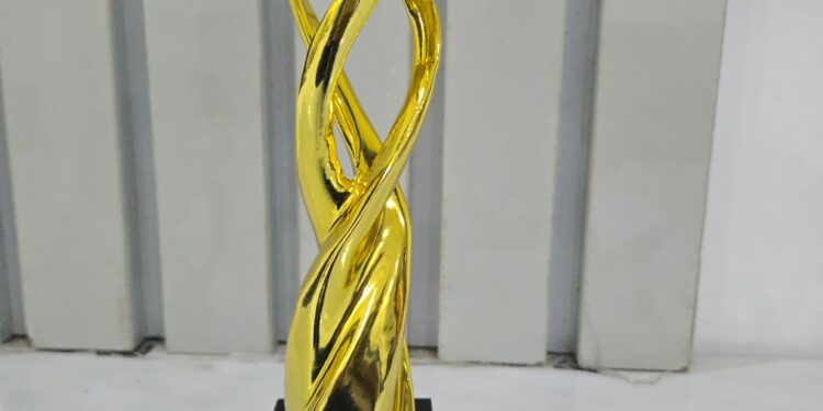 Dochase named “Most Innovative AdTech Company in Nigeria 2025” at Brandcom Awards 