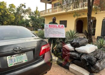 Nigerian army seizes over 108 kilograms of cannabis, arrests suspect in Kogi state