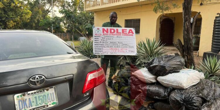 Nigerian army seizes over 108 kilograms of cannabis, arrests suspect in Kogi state 