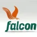 Falcon Corporation welcomes strategic investment from Energy& LLP to accelerate growth across Nigeria’s gas value chain   