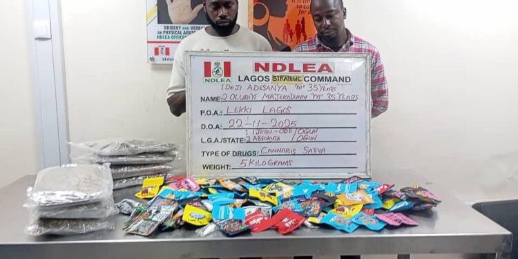 NDLEA uncovers Canadian Loud disguised as Christmas cookies, arrests distributors in Lagos