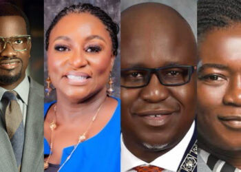 NAICOM taps Shola Tinubu, Bode Pedro, Adetola Adegbayi, and others to drive Insurance Act Implementation