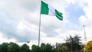 Drowning in someone else’s abundance: Nigeria, the grass beneath the elephants, and the price of UAE’s OPEC departure