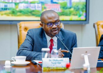 FG to launch Single Travel Emergency Passport in January 2026 