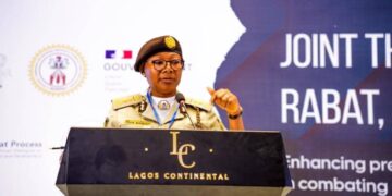 Nigeria Immigration Service to launch Single Travel Emergency Passport for Nigerians abroad 