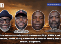The economics of insecurity, CBN rate freeze, and why remote work may be our next exportÂ