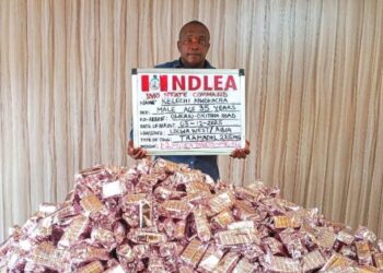 NDLEA seizes over 7.6 million tramadol pills, 76,273kg of cannabis in nationwide raids 