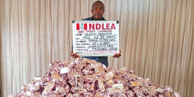 NDLEA seizes over 7.6 million tramadol pills, 76,273kg of cannabis in nationwide raids 